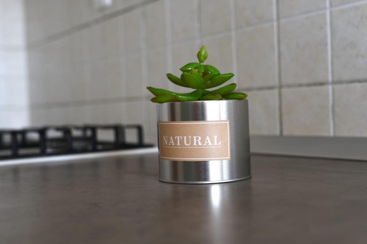 Vinika Apartament